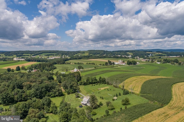 drone / aerial view