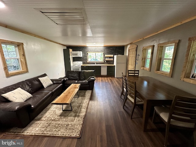 living room featuring crown molding, sink, and dark hardwood / wood-style flooring