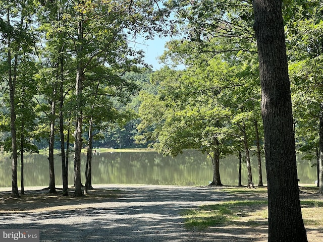 property view of water