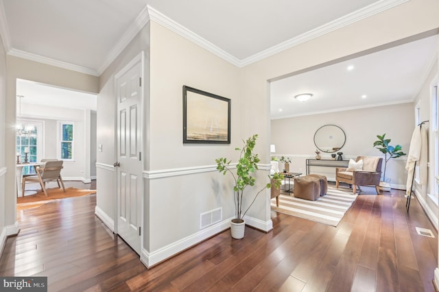 corridor featuring ornamental molding and dark hardwood / wood-style flooring