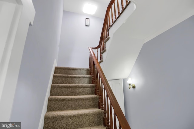 stairway featuring carpet