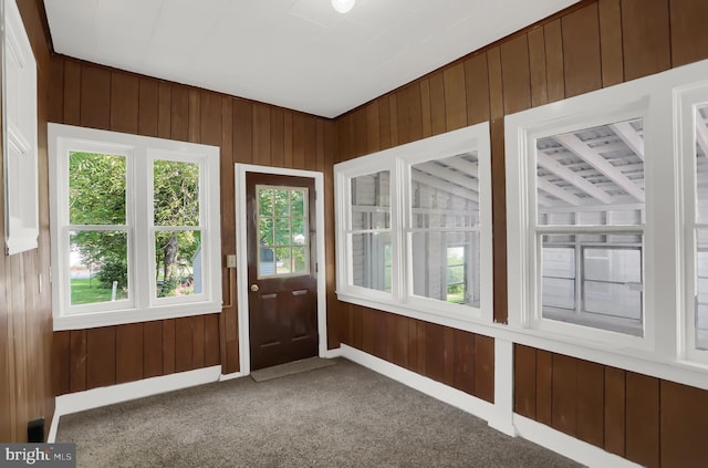 doorway featuring plenty of natural light, carpet, and wood walls