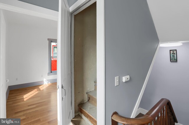 staircase with hardwood / wood-style floors