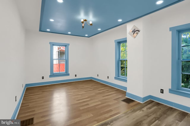 spare room featuring a wealth of natural light and wood-type flooring