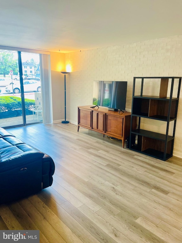 living room with light wood-type flooring