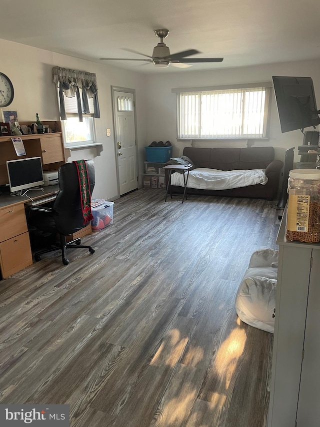 bedroom with ceiling fan, dark hardwood / wood-style flooring, and multiple windows