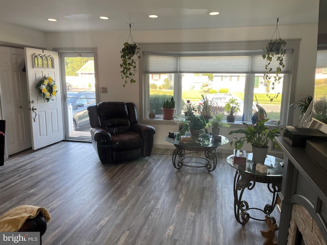 living room with dark wood-type flooring