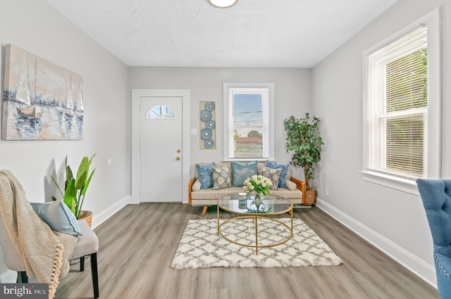 sitting room featuring a healthy amount of sunlight and hardwood / wood-style floors