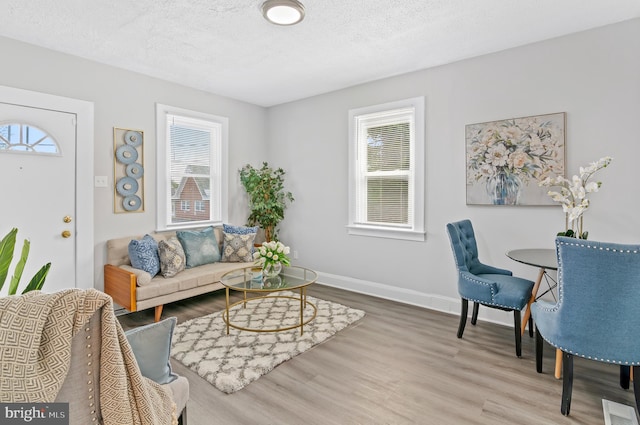 living room featuring wood-type flooring, a wealth of natural light, and a textured ceiling