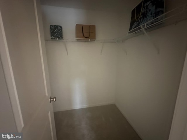 view of walk in closet