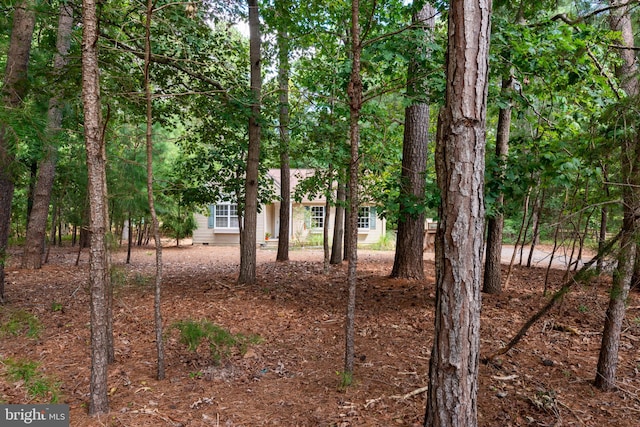 view of local wilderness