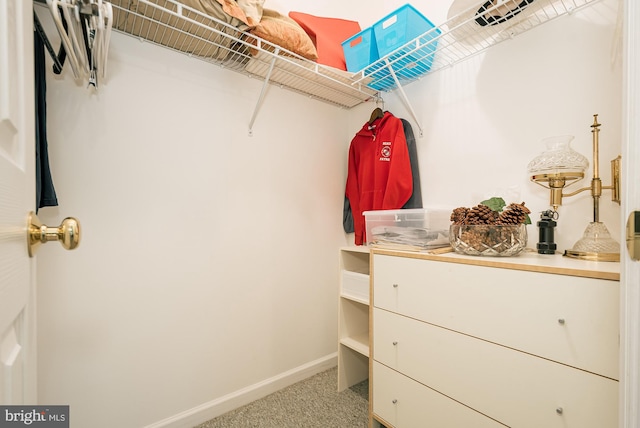 spacious closet featuring carpet flooring