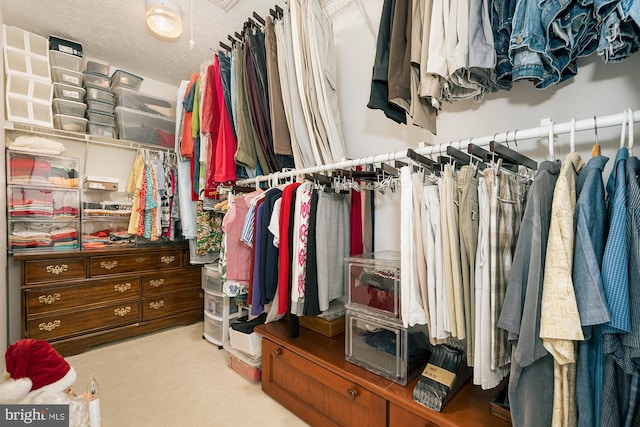 spacious closet with light colored carpet