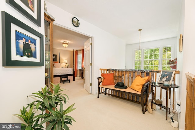 sitting room with light carpet