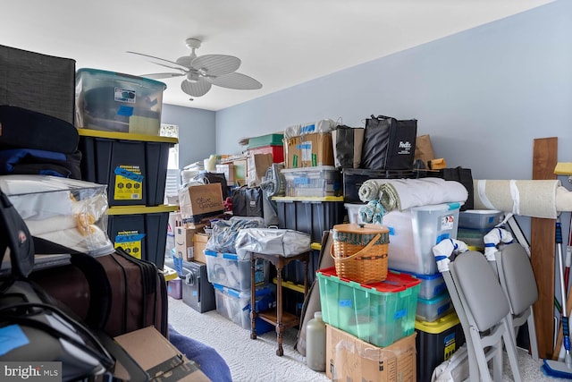 storage room featuring ceiling fan