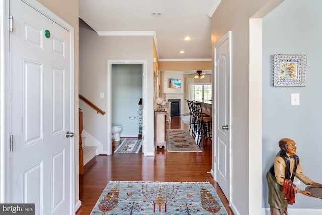 entrance foyer featuring ceiling fan, dark hardwood / wood-style floors, and ornamental molding