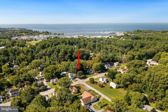 aerial view featuring a water view and a view of trees