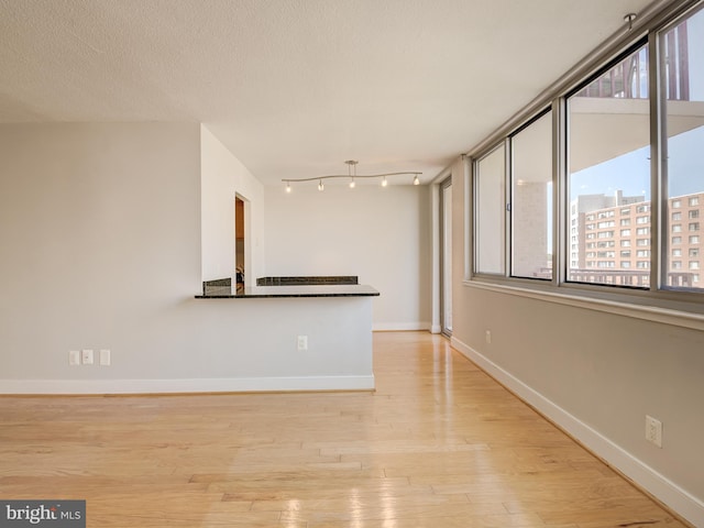 interior space featuring light wood-type flooring, a wealth of natural light, and a textured ceiling