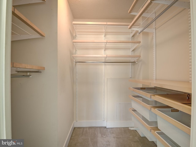 walk in closet with carpet flooring