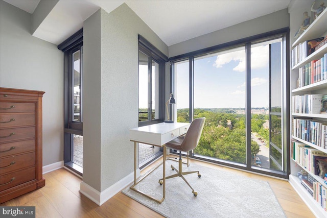 office space with light hardwood / wood-style flooring