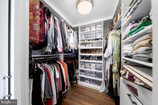 walk in closet featuring hardwood / wood-style flooring