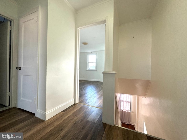 hall with dark hardwood / wood-style floors and ornamental molding