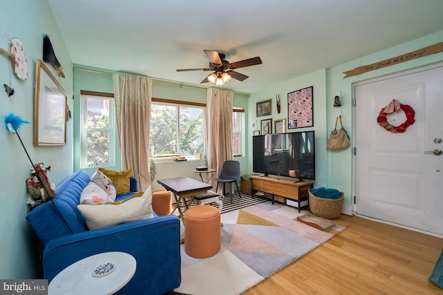 living room with ceiling fan and light wood-type flooring