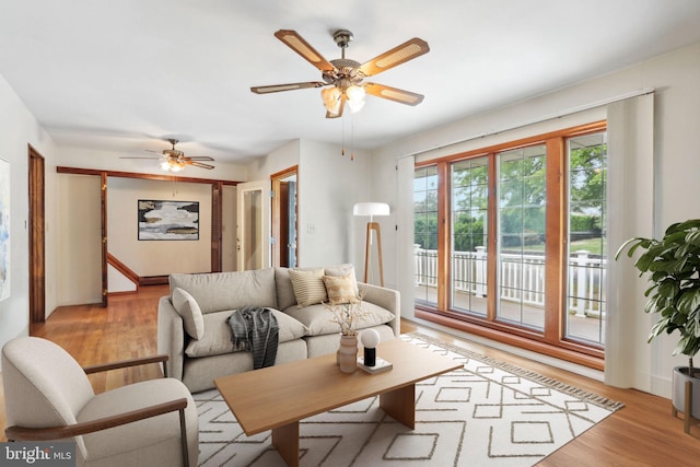 living room with ceiling fan and light wood-type flooring