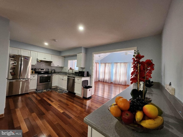 kitchen featuring dark wood finished floors, appliances with stainless steel finishes, under cabinet range hood, white cabinetry, and a sink