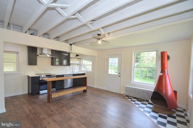 kitchen featuring wall chimney exhaust hood, radiator heating unit, appliances with stainless steel finishes, dark wood-style flooring, and a sink