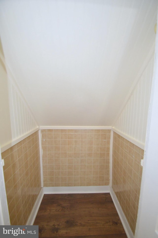 additional living space featuring vaulted ceiling, a wainscoted wall, and dark wood finished floors