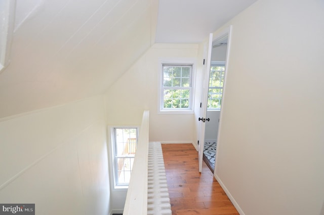 hallway featuring light wood finished floors, plenty of natural light, and vaulted ceiling