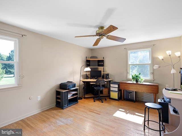 office space featuring a healthy amount of sunlight, ceiling fan, and light hardwood / wood-style floors