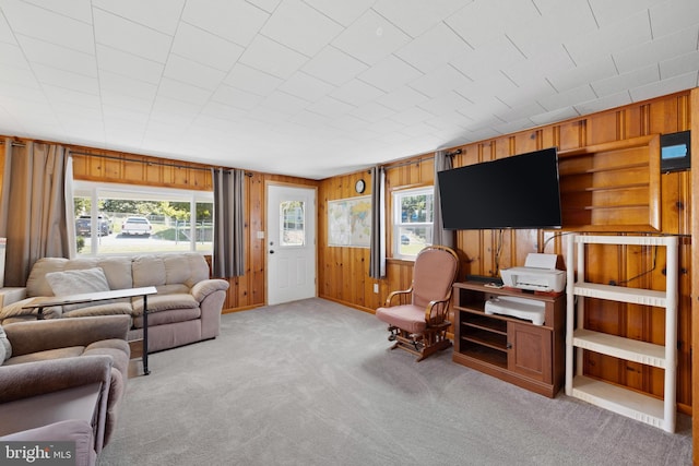 carpeted living room with wood walls and plenty of natural light