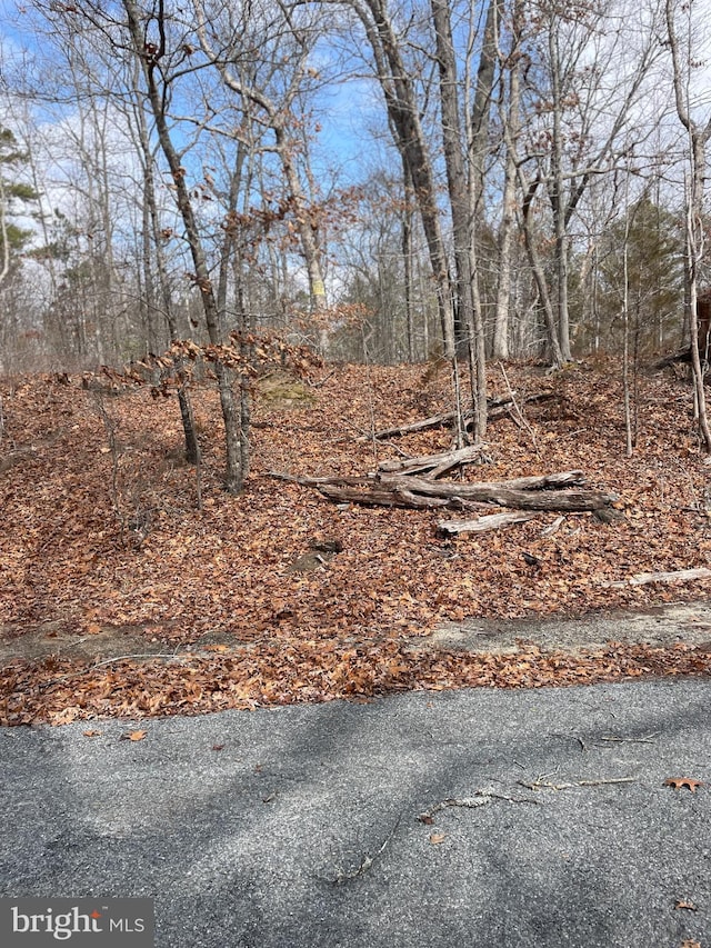 LOT16 Eppinger Ave, Pittsgrove NJ, 08318 land for sale