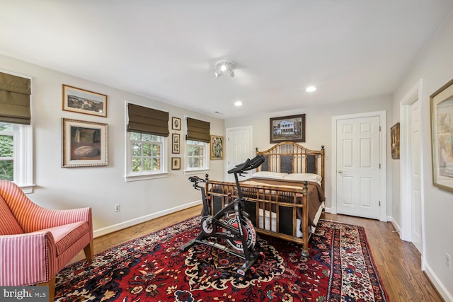 bedroom featuring wood-type flooring