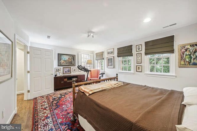 bedroom featuring multiple windows and hardwood / wood-style flooring