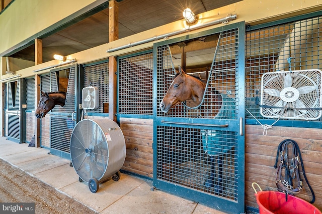 view of horse barn