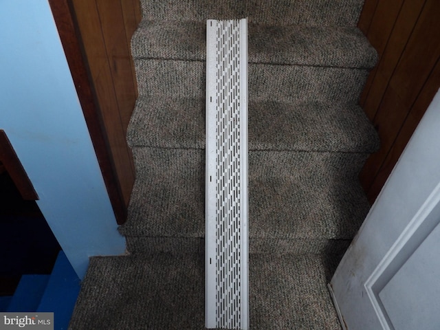 stairs featuring carpet flooring and wood walls