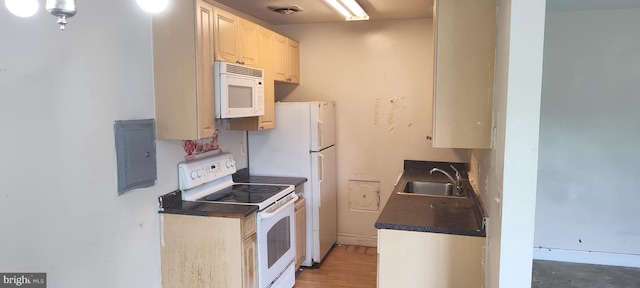 kitchen with hardwood / wood-style floors, white appliances, electric panel, and sink