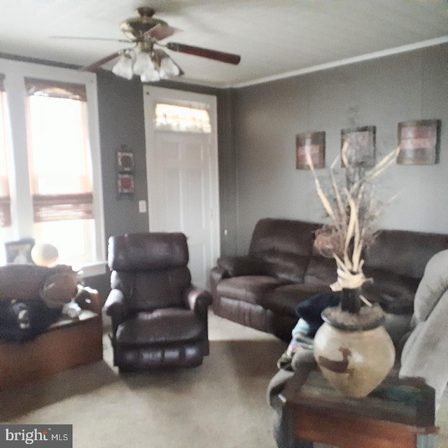 living room with ceiling fan and crown molding