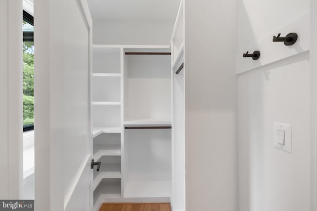 spacious closet with light wood-type flooring