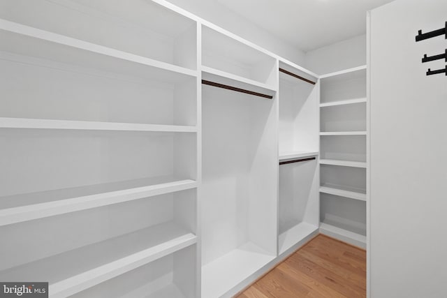 spacious closet featuring wood-type flooring