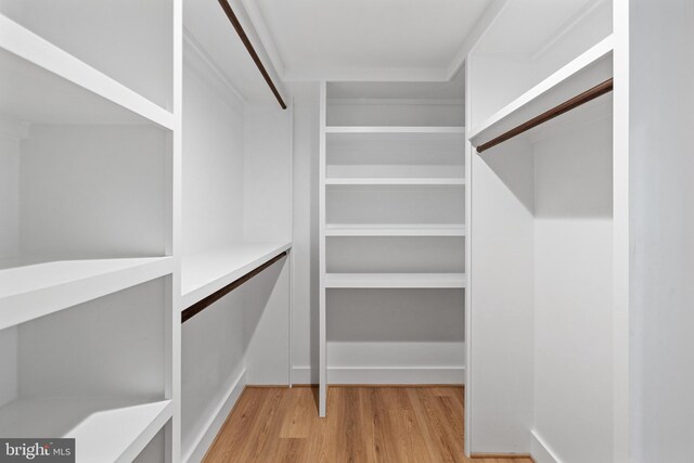 spacious closet featuring light hardwood / wood-style flooring