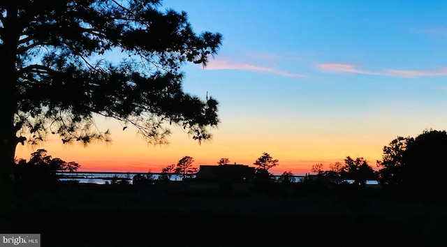 view of nature at dusk