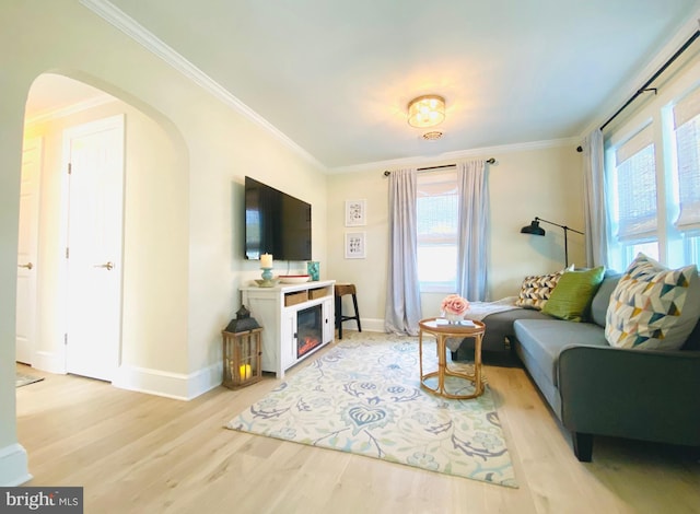 living room with light hardwood / wood-style flooring and crown molding