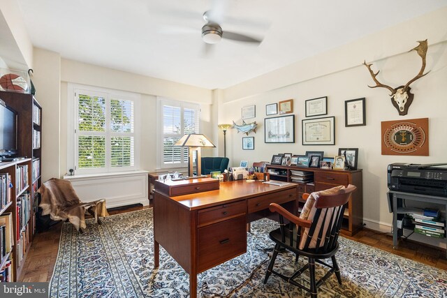 office featuring ceiling fan and dark hardwood / wood-style flooring