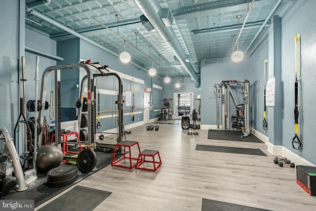 exercise room featuring hardwood / wood-style floors