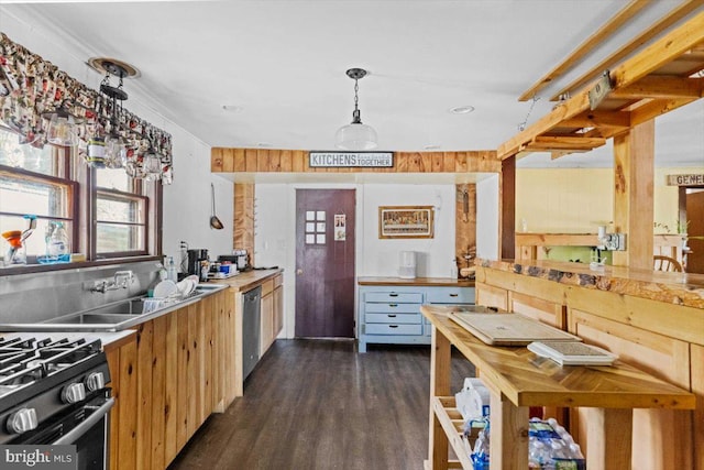 kitchen featuring dishwasher, dark wood-type flooring, and wooden counters