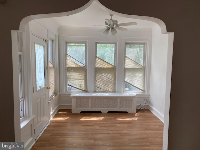 entrance foyer featuring a wealth of natural light, wood-type flooring, and radiator